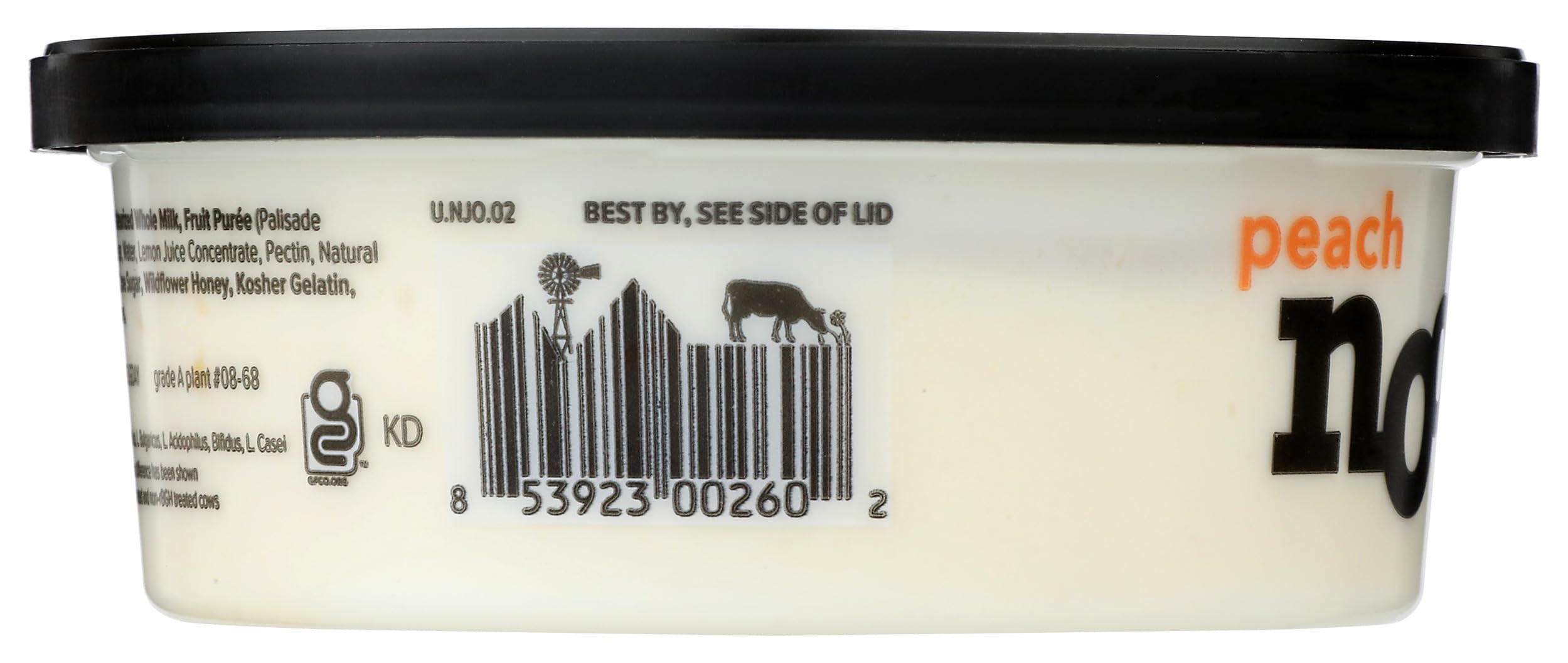 Amazon.com: Noosa, Peach Yoghurt, 8 Ounce : Grocery & Gourmet Food